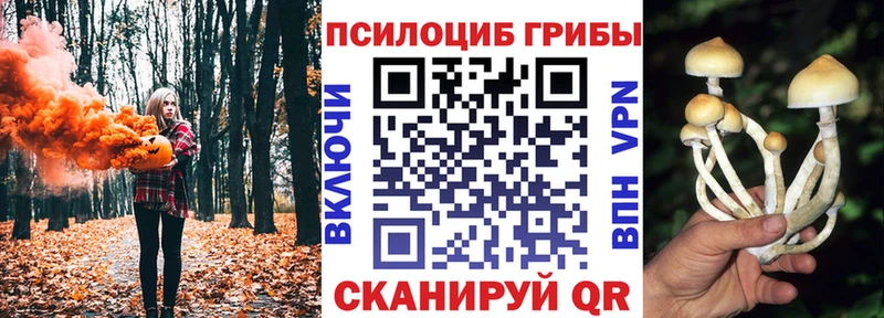 Галлюциногенные грибы ЛСД Щёлкино